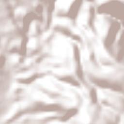 Jiménez del Teul Terrain Map