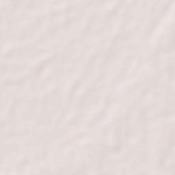 Shariatpur Terrain Map