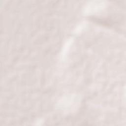 Carrillo Terrain Map