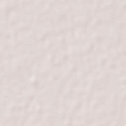 El Salto Terrain Map