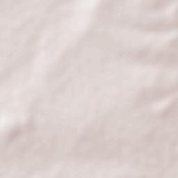 Gonzales Ortega Terrain Map