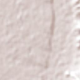 Las Veredas Terrain Map