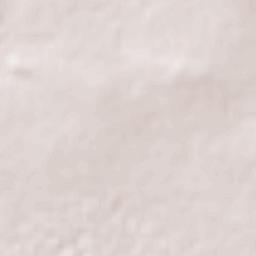 Santiaguillo Terrain Map