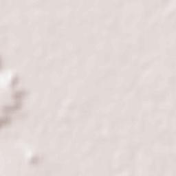 Sultanpur Terrain Map