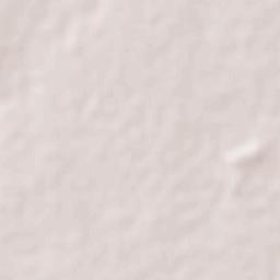 General Enrique Estrada Terrain Map