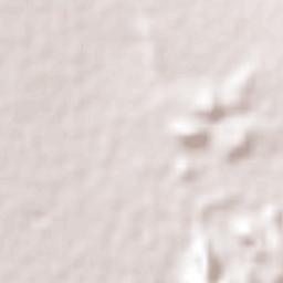 Lázaro Cárdenas Terrain Map