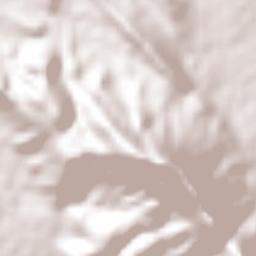 Ciudad Tula Terrain Map