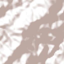 Mezquital Terrain Map