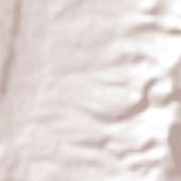 J. Jesús González Ortega (San Mateo) Terrain Map