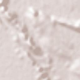 Rancho Veloz Terrain Map