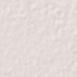 Lakshmipur Terrain Map