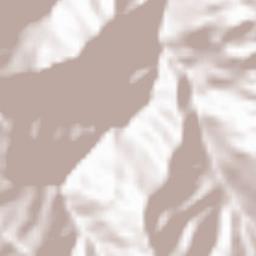 Huyện Bảo Lac Terrain Map