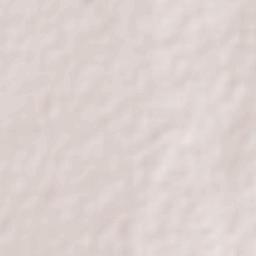 San José de la Era Terrain Map