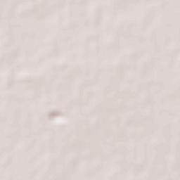 La Salud Terrain Map