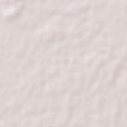 Escuinapa Terrain Map