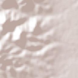 Sauceda de La Borda Terrain Map