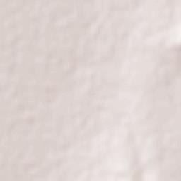 Tacoaleche Terrain Map