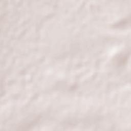 Villa de Ramos Terrain Map