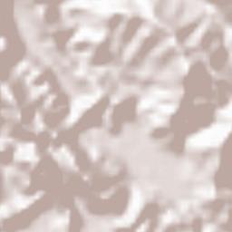 Huyện Thông Nông Terrain Map