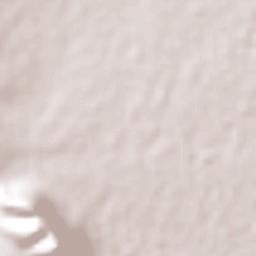 Negritas Terrain Map