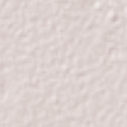 Magdaleno Cedillo Terrain Map