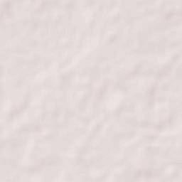 Ramnagar Terrain Map