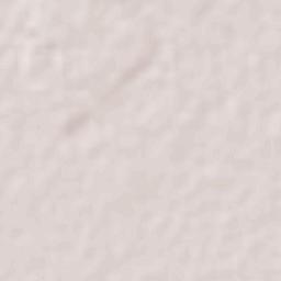 Isla del Bosque Terrain Map