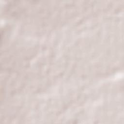 Martínez Domínguez Terrain Map