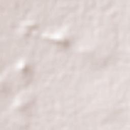 La Zacatecana Terrain Map