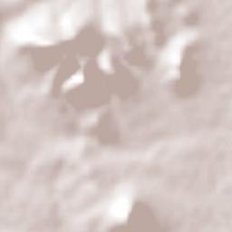 El Saucito (El Horno) Terrain Map