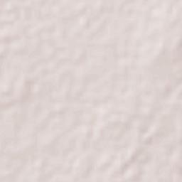 Ciudad Mante Terrain Map