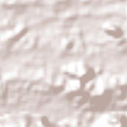 Municipio de La Palma Terrain Map