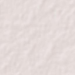 Begampur Terrain Map