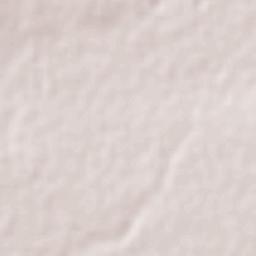 Cieneguitas Terrain Map