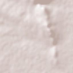 La Tesorera Terrain Map