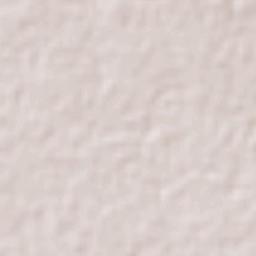 Palma Pegada Terrain Map