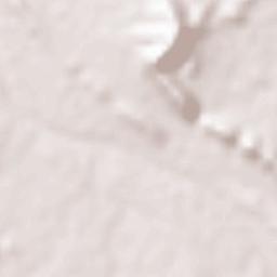 Devgadh Bariya Terrain Map