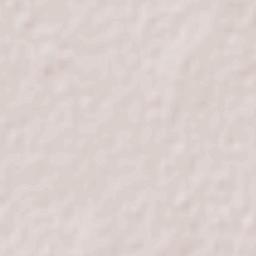 Cerrito de la Cruz Terrain Map