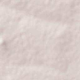 General Pánfilo Natera Terrain Map