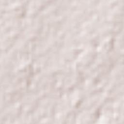 El Mante Terrain Map