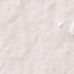 Gopinathpur Terrain Map