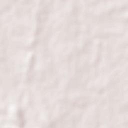 Kalikapur Terrain Map