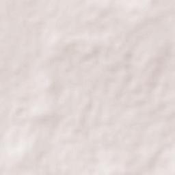 Bajío de San Nicolás Terrain Map