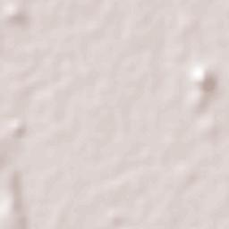 La Concha (La Concepción) Terrain Map