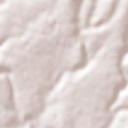 Paso de Méndez Terrain Map