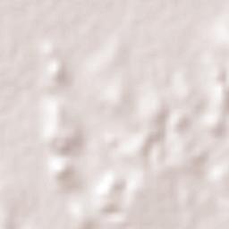 Cerrito de Zavala Terrain Map