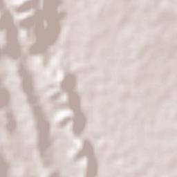 El Naranjo Terrain Map