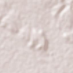 Nuevo Morelos Terrain Map