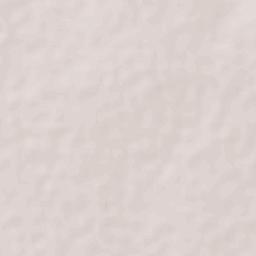 Plan de Ayala Terrain Map