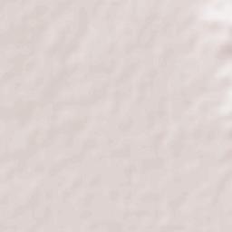 Cuauhtémoc Terrain Map